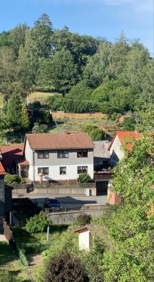 Haus Wiesenblick Walkenried Ngoại thất bức ảnh