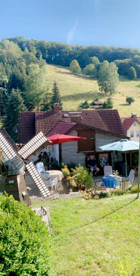 Haus Wiesenblick Walkenried Ngoại thất bức ảnh